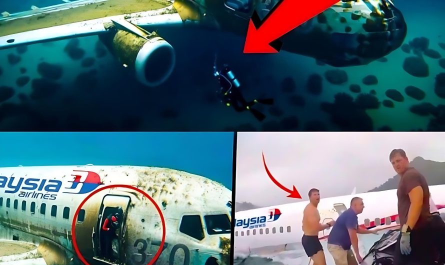 (Video) Hot: Terrifying discovery: Discovery of mysterious Flight 370 floating on a remote island with no signs of life