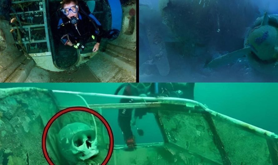 intriguing Discovery: Intact Pilot’s Skeleton Found in Mysterious Missing Plane 1,000 Meters Underwater.