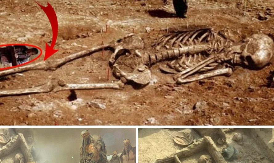 Archaeologists in a state of shock: “Thousands of Giants discovered in Caria” Ancient History & Archeology