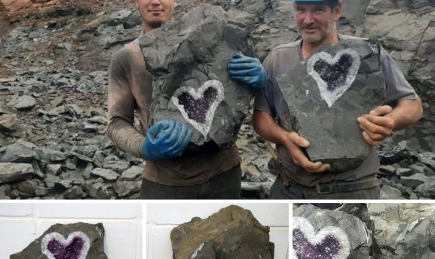 Miners working at the Santa Rosa mine have just discovered a special block of quartz, containing a very strange heart shape inside. 