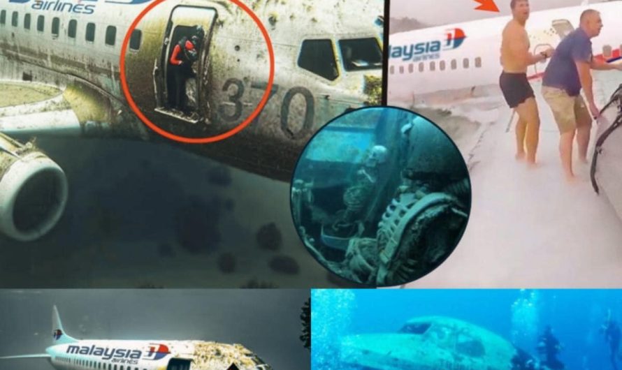 Breaking News: Researchers make surprising new discovery about Flight 370 floating above water in an island area with no human shadow.