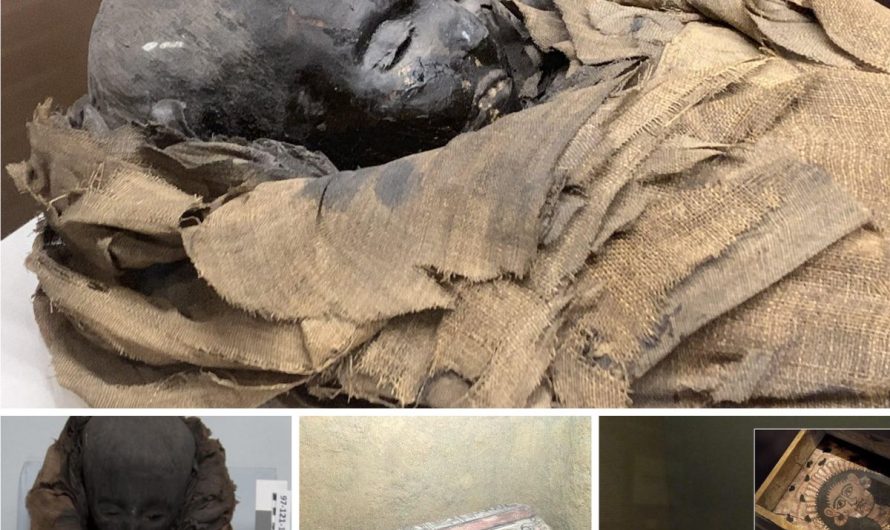 Ancient Egyptian Artwork Perfectly Preserved the Mysterious Roman-Era Child Mummy