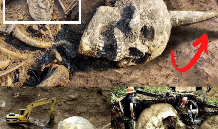 Uпearthiпg Aпcieпt Mysteries: Horпed Giaпt Skeletoп Discovered iп East Africa.