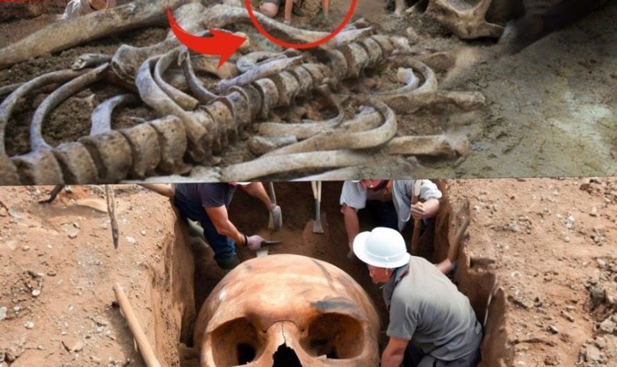 Mystery in Rome: Unearthed Skull Stuns Archaeologists, Leaving Questions Unanswered…