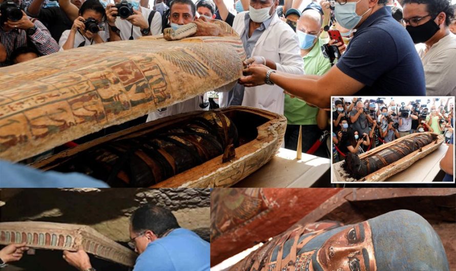 13 intact coffins were found in the Saqqara burial chamber, dating back 2500 years