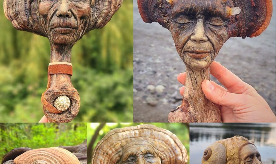 The sculptures that this Canadian artist creates are made of driftwood, seashells, dried mushrooms, and other materials