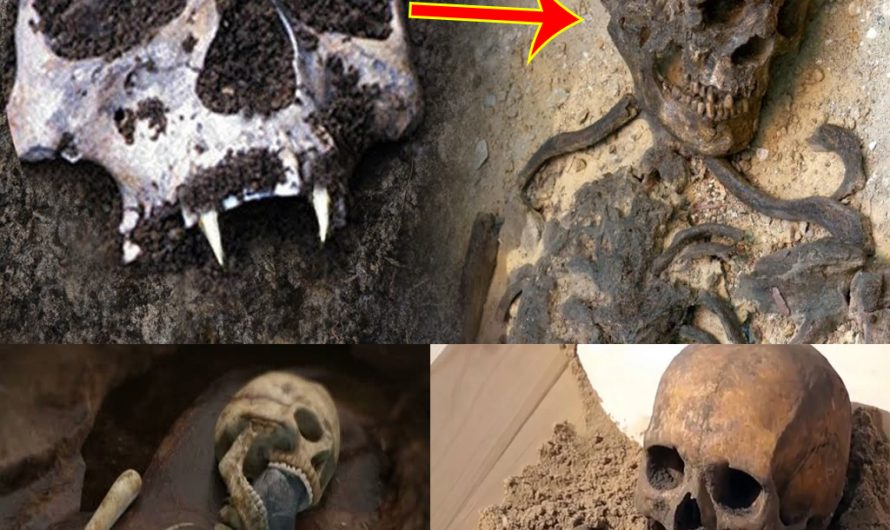 The Mystery Of Vampire Skeletons, Zombies, & Buried Witches