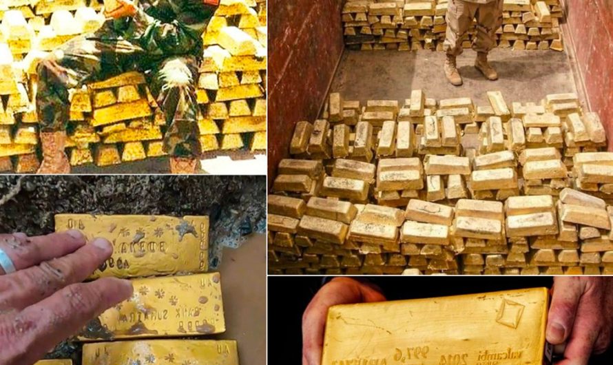 Unearthing the World’s Largest Gold Treasure: A Historic Discovery by an Indian Citizen.