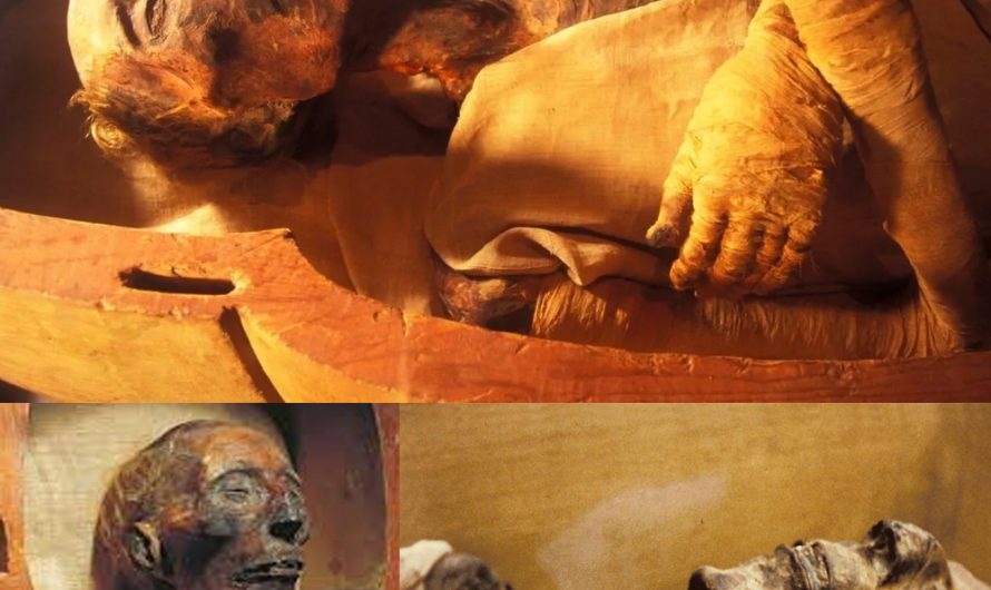 Mummy of Ramesses II Reveals Remarkable Longevity!