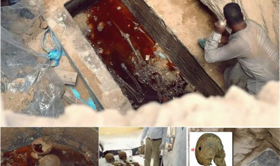 What Happened to the Myth of the Ancient Egyptian Mummy in the “Cursed” Sarcophagus?