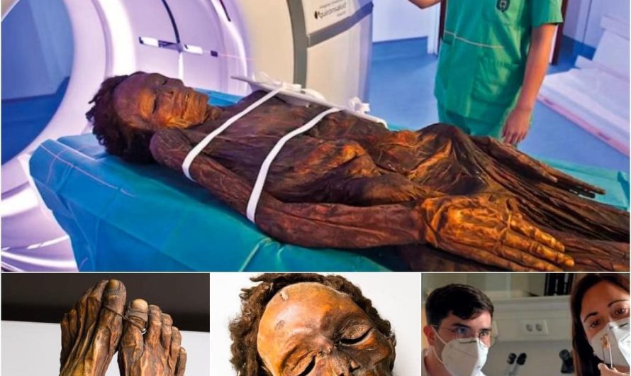 Unlocking Secrets of Quanche Culture: Ancient Mummies Shed Light on Hidden History