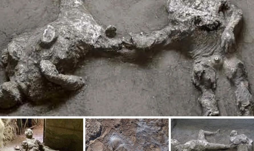 The 2000-year-old Pompeii man’s history of “masturbation” stunned archaeologists