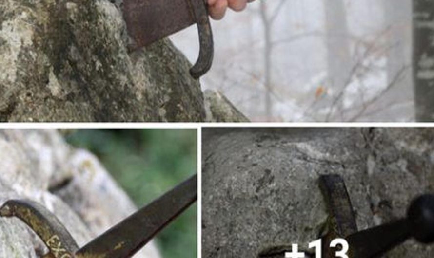 Archaeologists too lost their senses after discovering a mysterious sword buried in a rock that was 700 years old