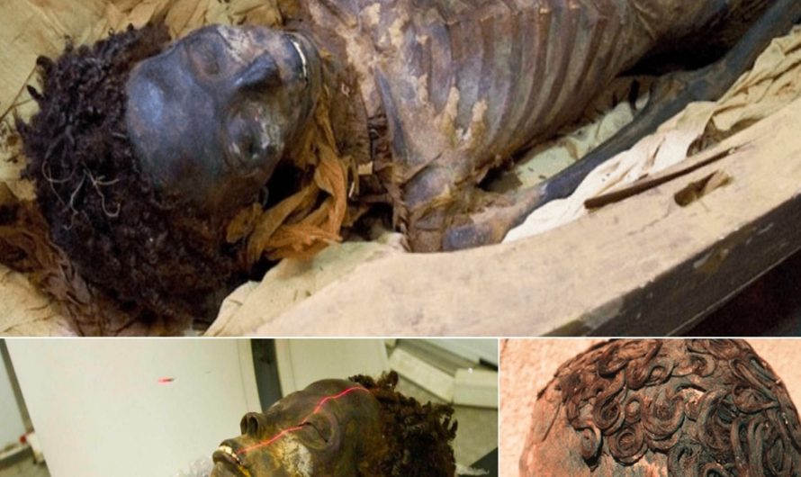 Remarkable Preservation: A 3,000-Year-Old Mummy with Unchanged Curly Hair