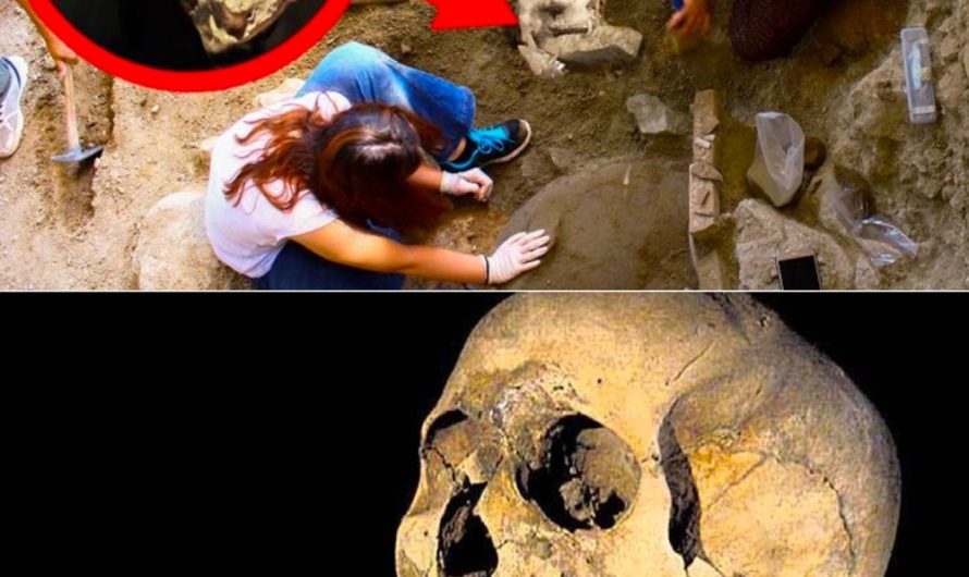 Vampire burial practices revealed with mouths stuffed with rocks.