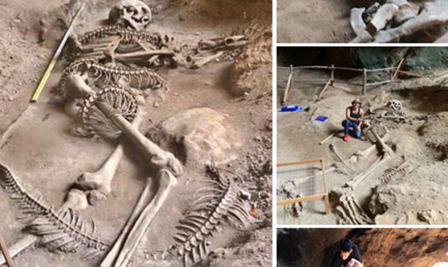 The mysterious huge skeleton fighting a serpent that was discovered in a cave in Thailand has been deciphered