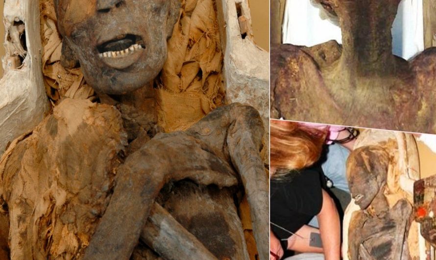 Unlocking the Mysteries: The Remarkable 4,000-Year-Old Chinese Mummy of an Everyday Woman