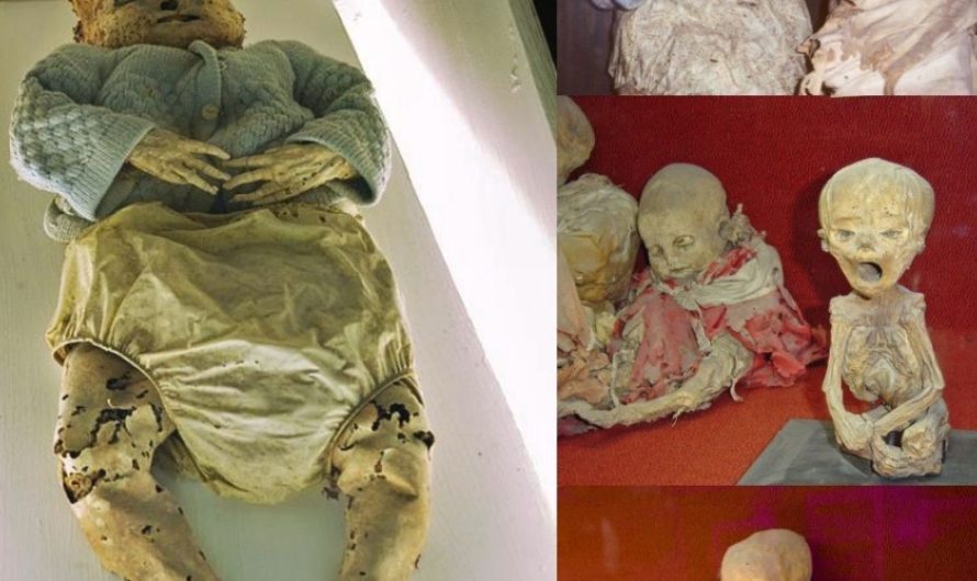 Young Mummies of Guanajuato, Mexico: A Fascinating and Insightful Assemblage and the Mysterious Body Preservation of the Ancients.