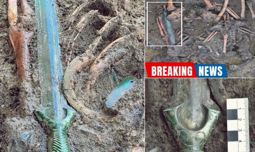 Bronze Age Sword Unearthed in Germany: A Gleaming Relic from the Past 