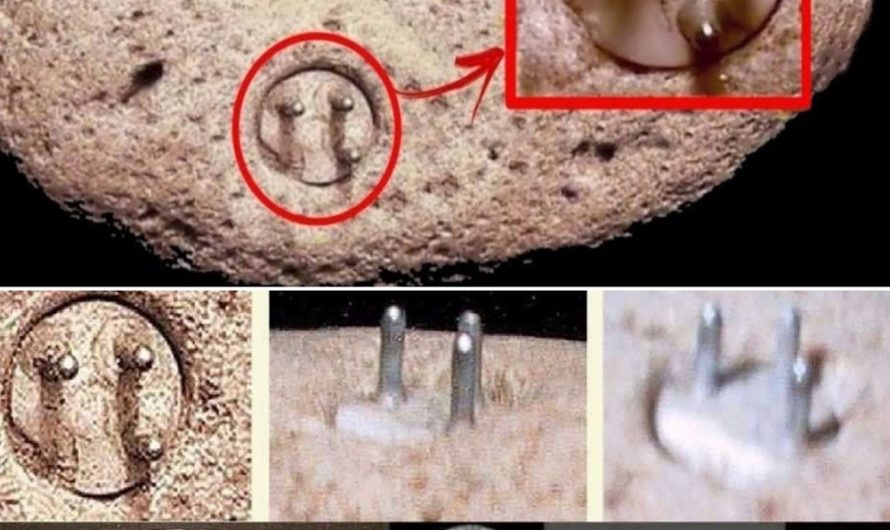 Unveiling the mystery of the 100,000-year-old ‘Enigmalith’ – a potential link to ancient advanced civilizations?