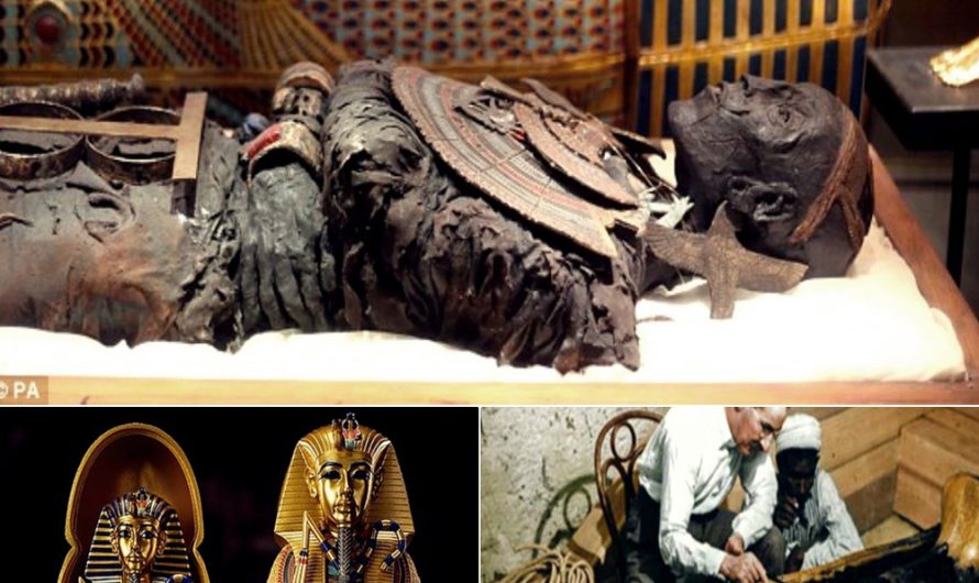 The curse that transcends time: King Tutankhamun’s tomb and its legendary curse have perplexed scientists since the pivotal 1923 discovery. A phenomenon or a pharaoh’s fury?