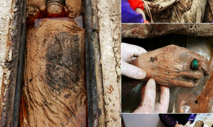 A 700-year slumber in brown liquid: The key to this mummy’s perfect preservation is a mystery waiting to be solved. Dive into the past’s preservative techniques.