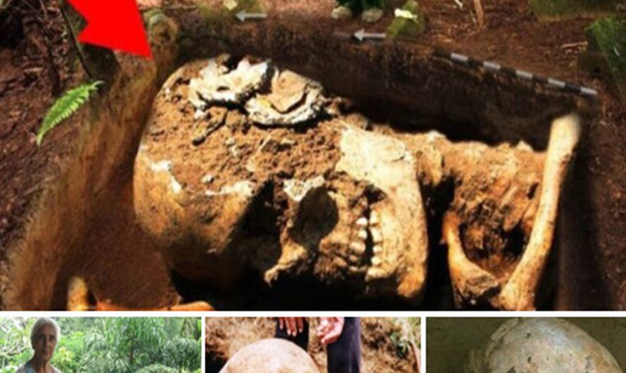 Unearthed in Sri Lanka is a massive, more than ten-foot-tall skull from 37,000 years ago