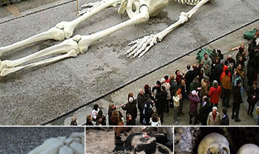 The Discovery of 20 ‘Giant’ Skeletons Reignites Fears of Their Possible Return