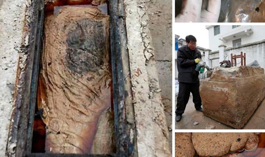 An Unintentional Discover of an Impeccably Preserved Ming Dynasty Taizhou Mummy