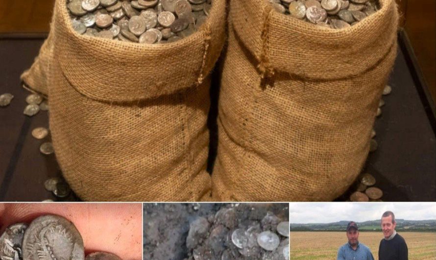 Striking gold in history: Amateur discovers 2,000-year-old Roman gold coins in a Bridport field.