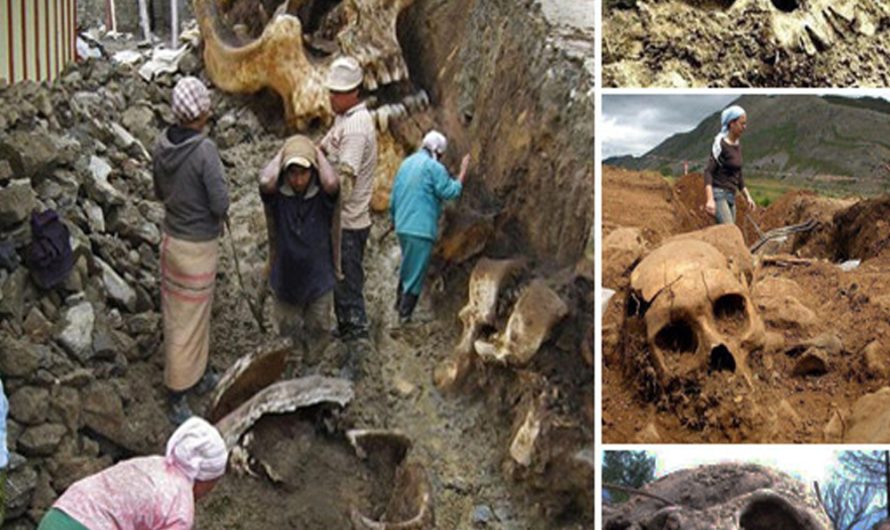 Skeletons Found in an Ancient City Reveal East African Historical Mysteries