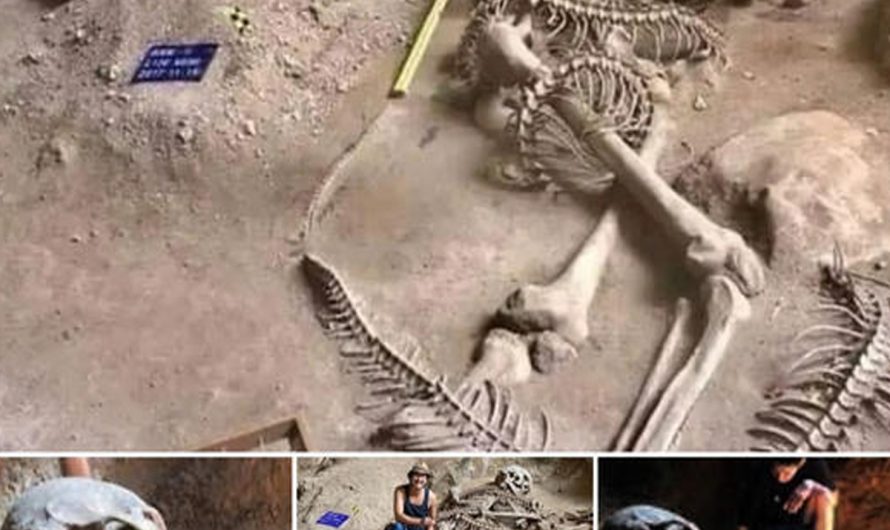 A giant skeleton battling a serpent that was discovered in a Thai cave served as the decipherment