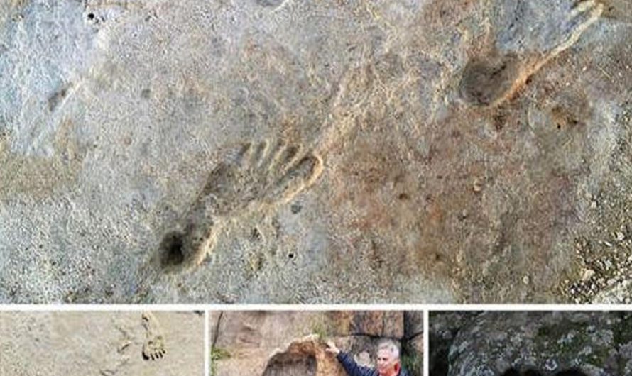 Explorators found giant feet in the Sahara Desert